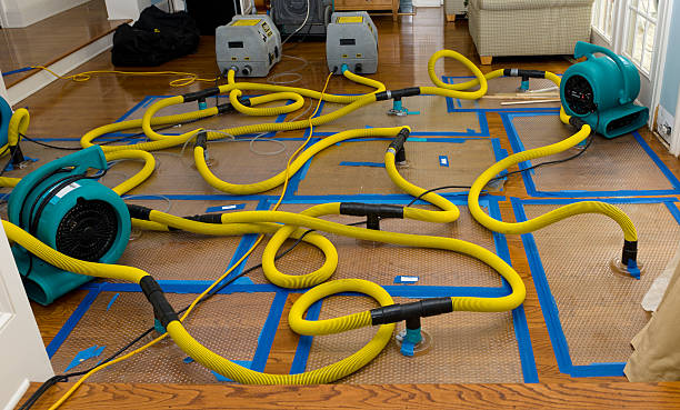 Professional Flood Damage Restoration technician working in Algonac, MI