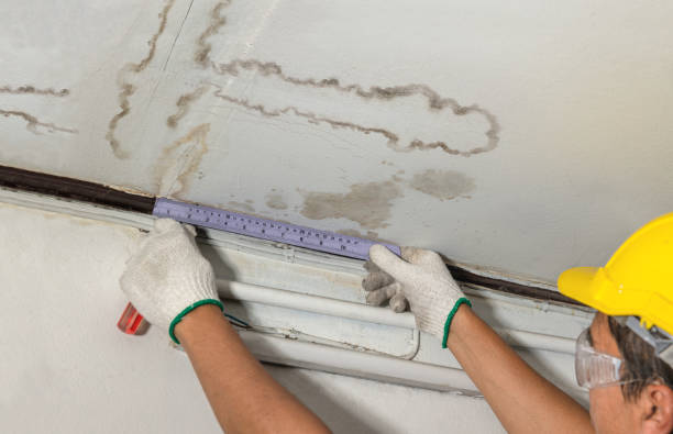 Affordable Water Damage Repair solutions in Algonac, MI